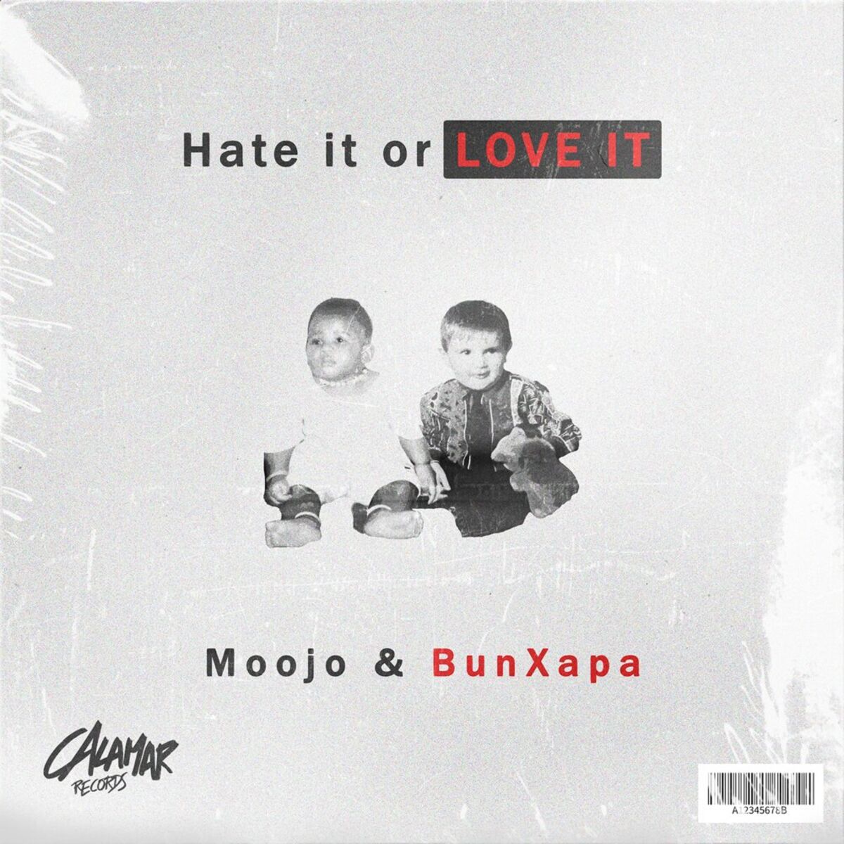Album cover of Hate It Or Love It