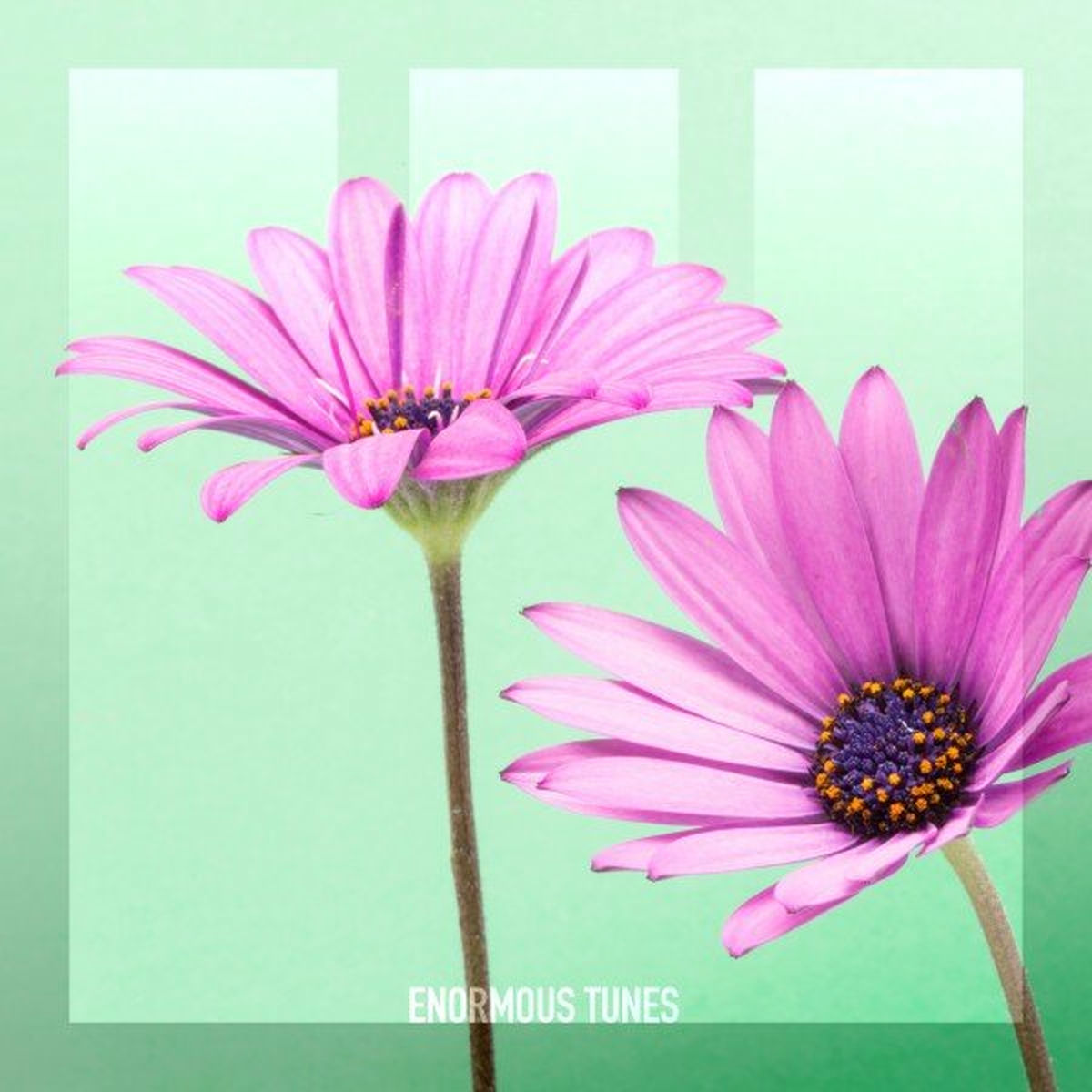 Album cover of Through Autistic Eyes