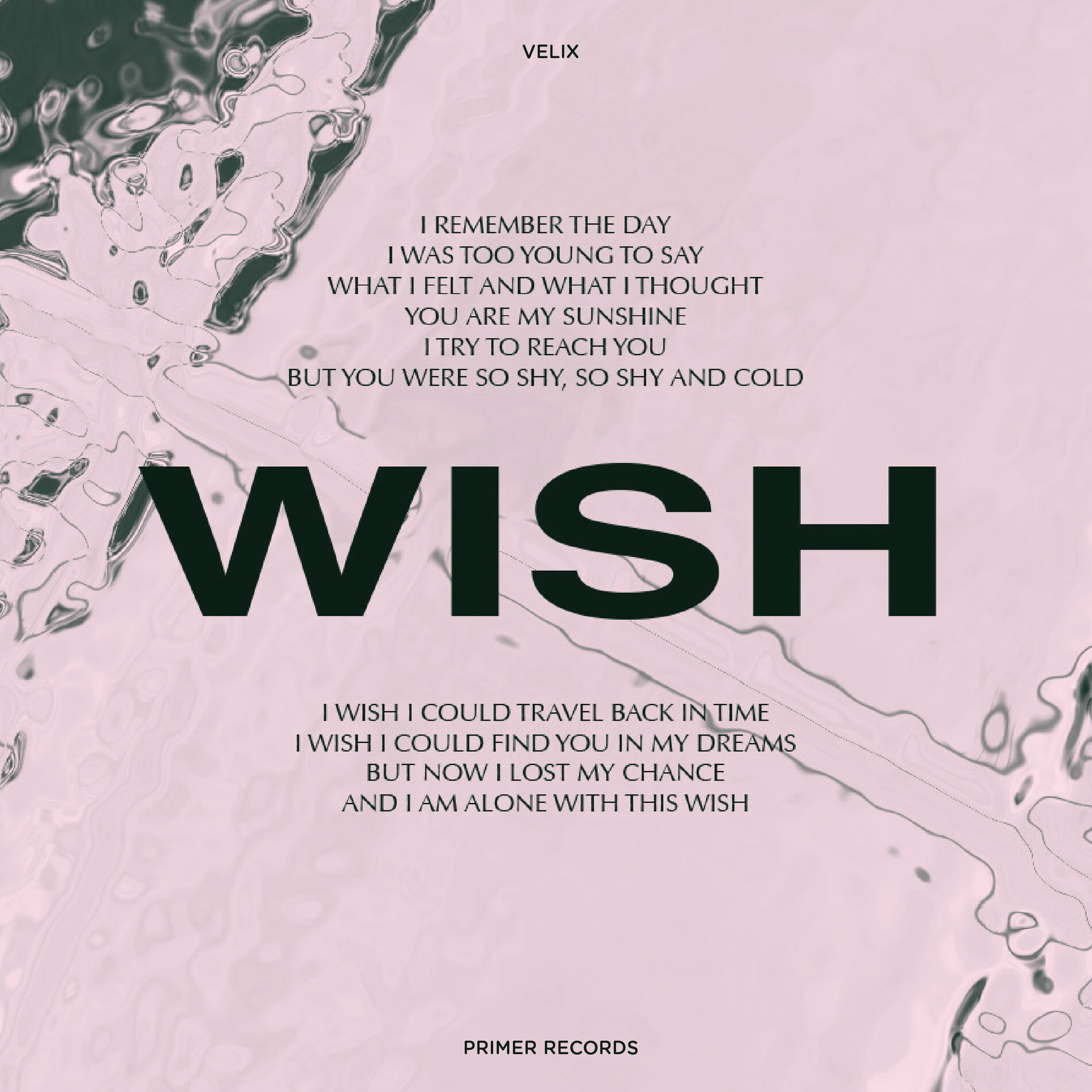 Album cover of Wish
