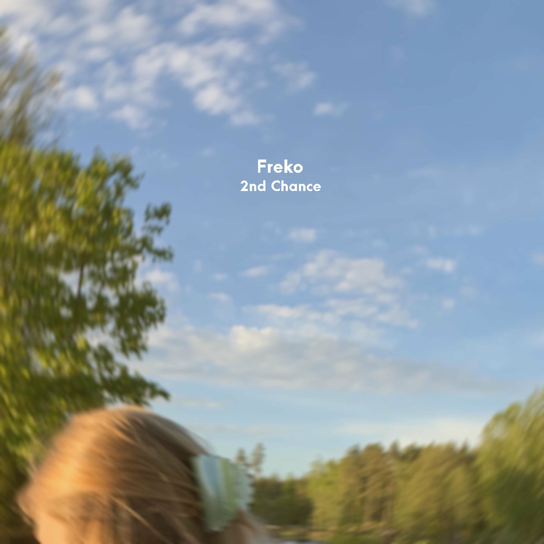 Album cover of 2nd Chance