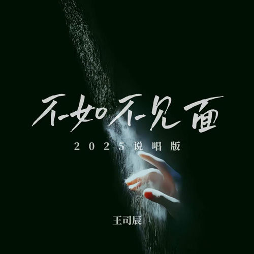 不如不见面 (2025说唱版)