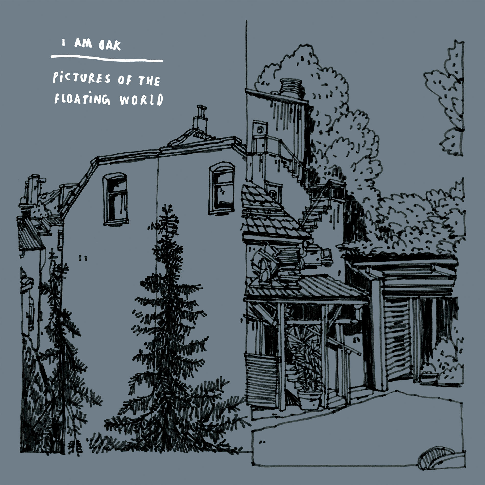 Album cover of Pictures of the Floating World