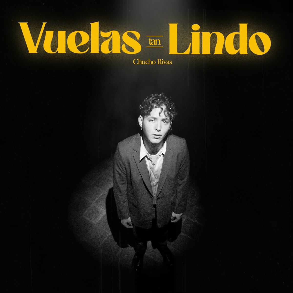Album cover of Vuelas Tan Lindo