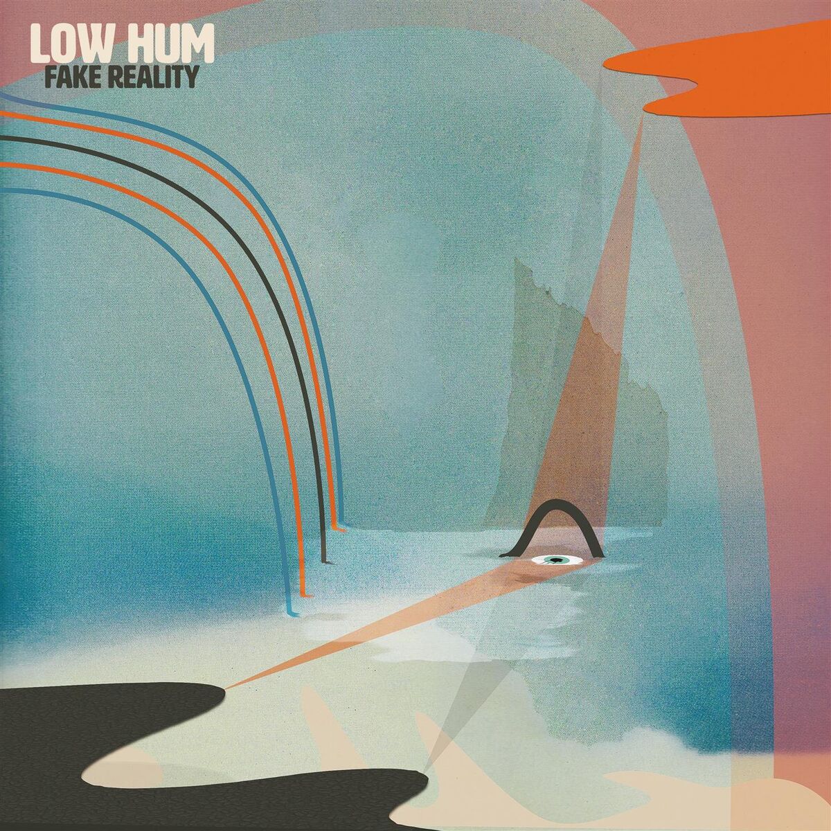 Album cover of Fake Reality