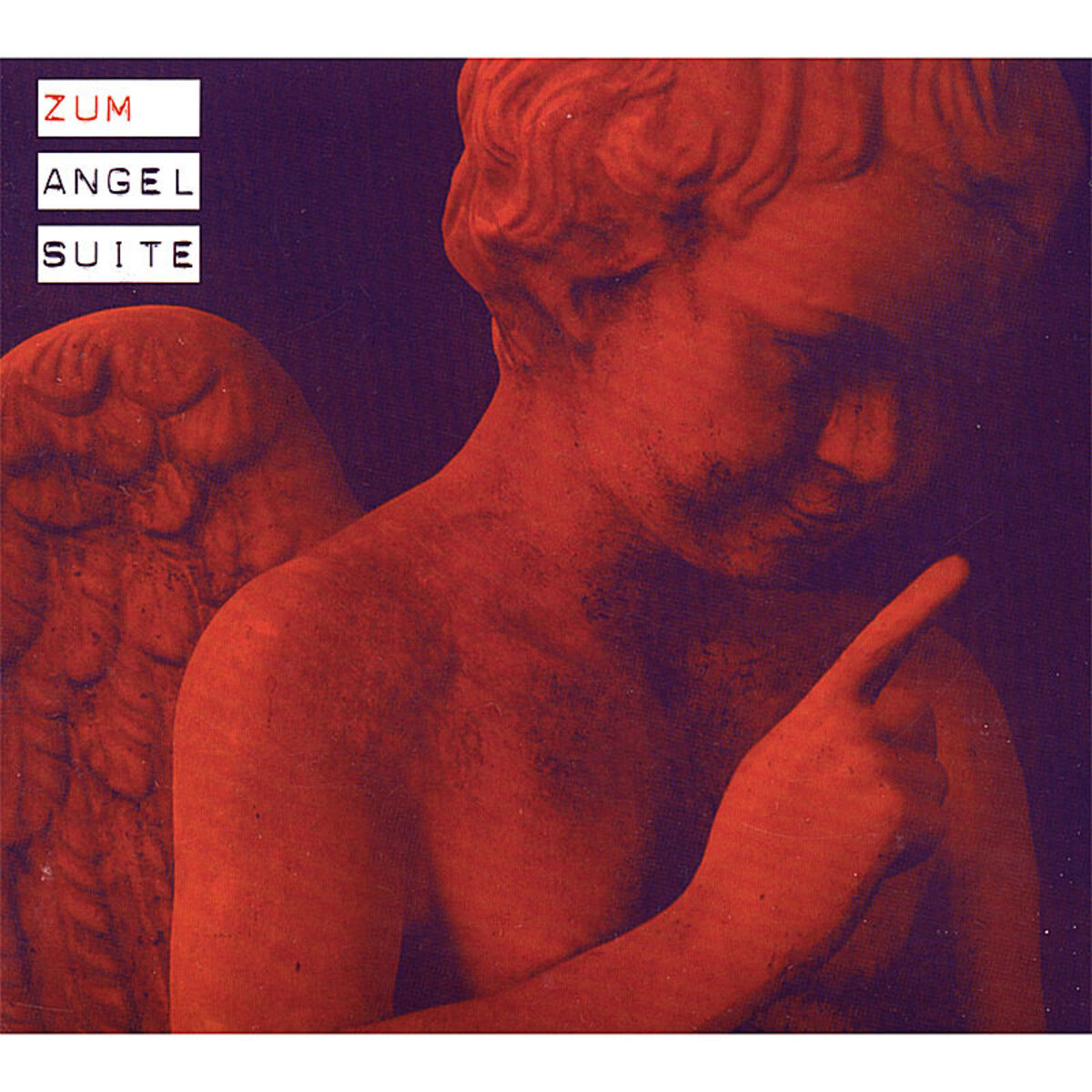 Album cover of Angel Suite