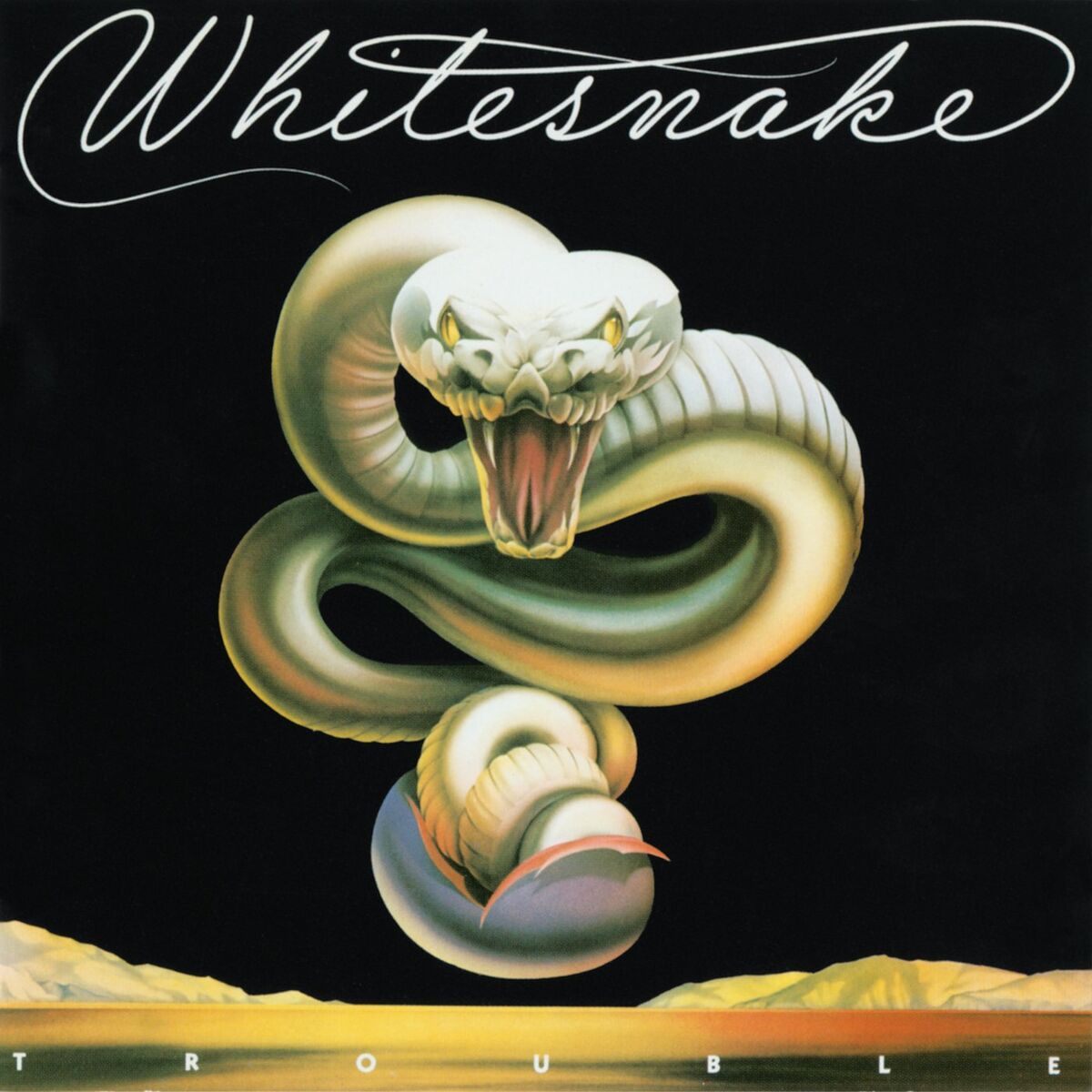 Album cover of Trouble