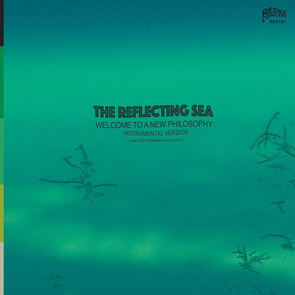 Picture of Instrumentals from The Reflecting Sea