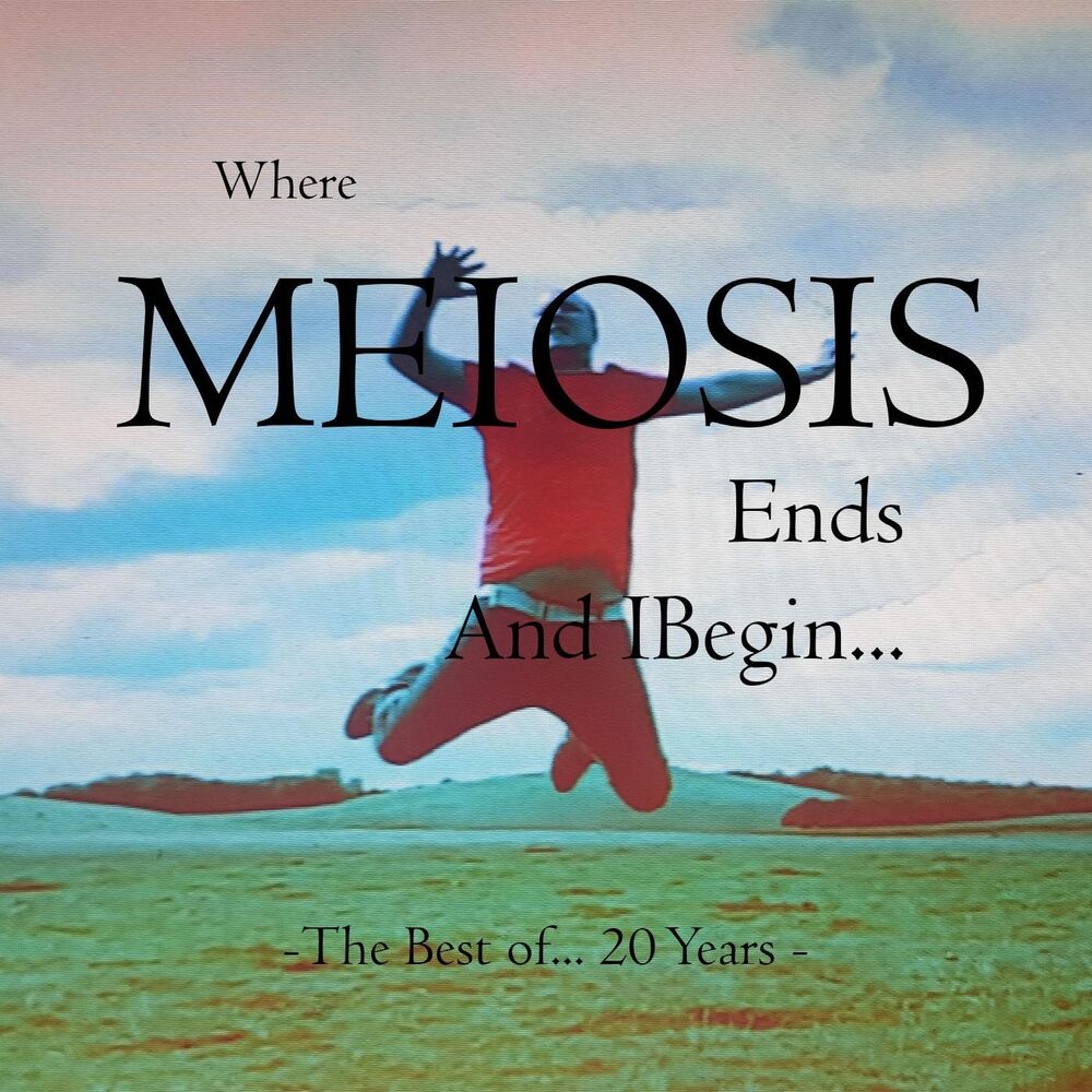 Picture of Where Meiosis Ends and I Begin... the Best of 20 Years of Meiosis