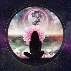 Cover of Natural DMT Activation (Guided Breathwork Mix)