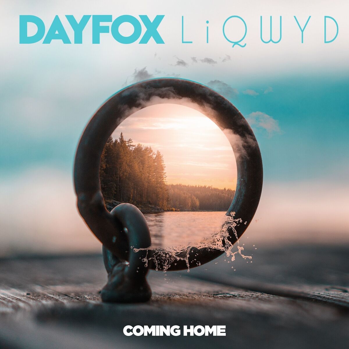 Album cover of Coming Home