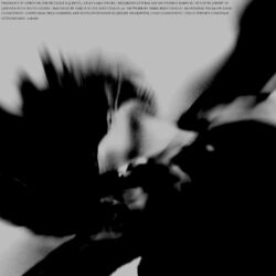 Cover of Lacerate