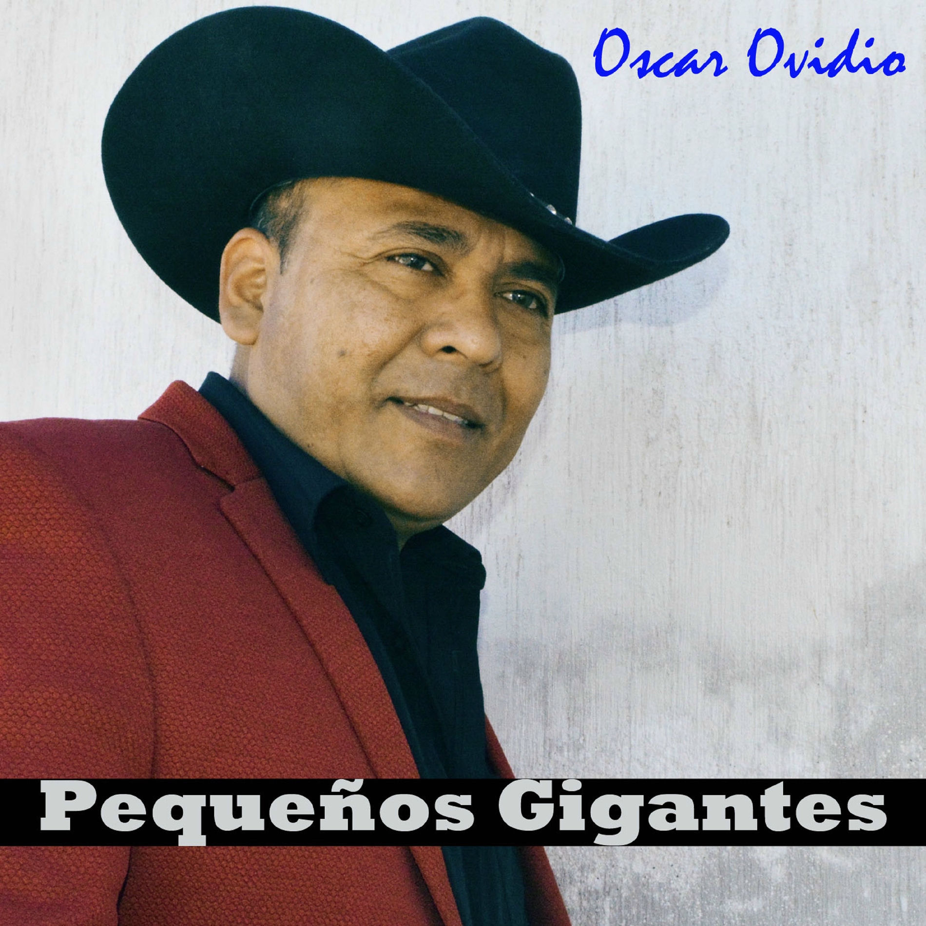 Album cover of Pequeños Gigantes