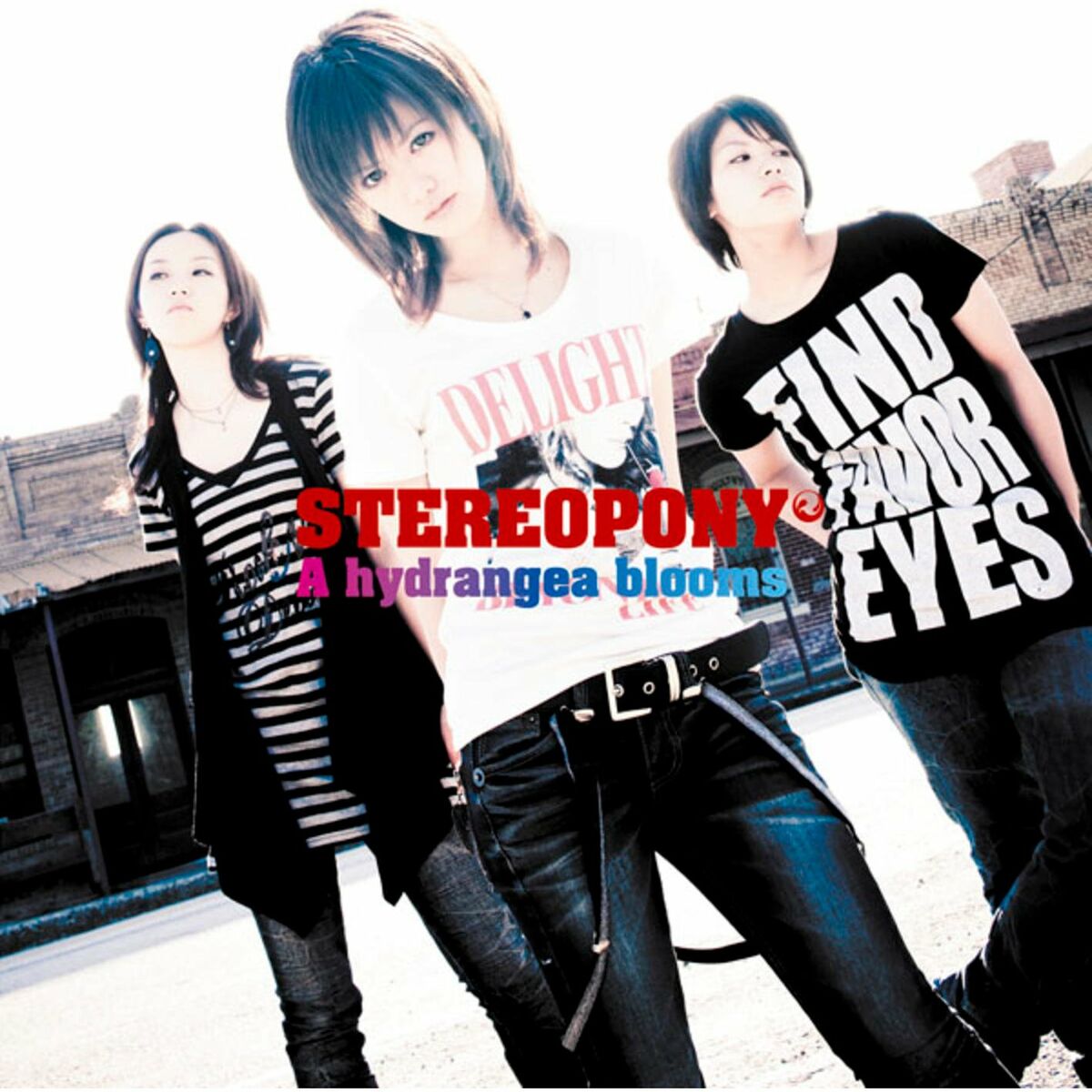 Album cover of Hitohira No Hanabira