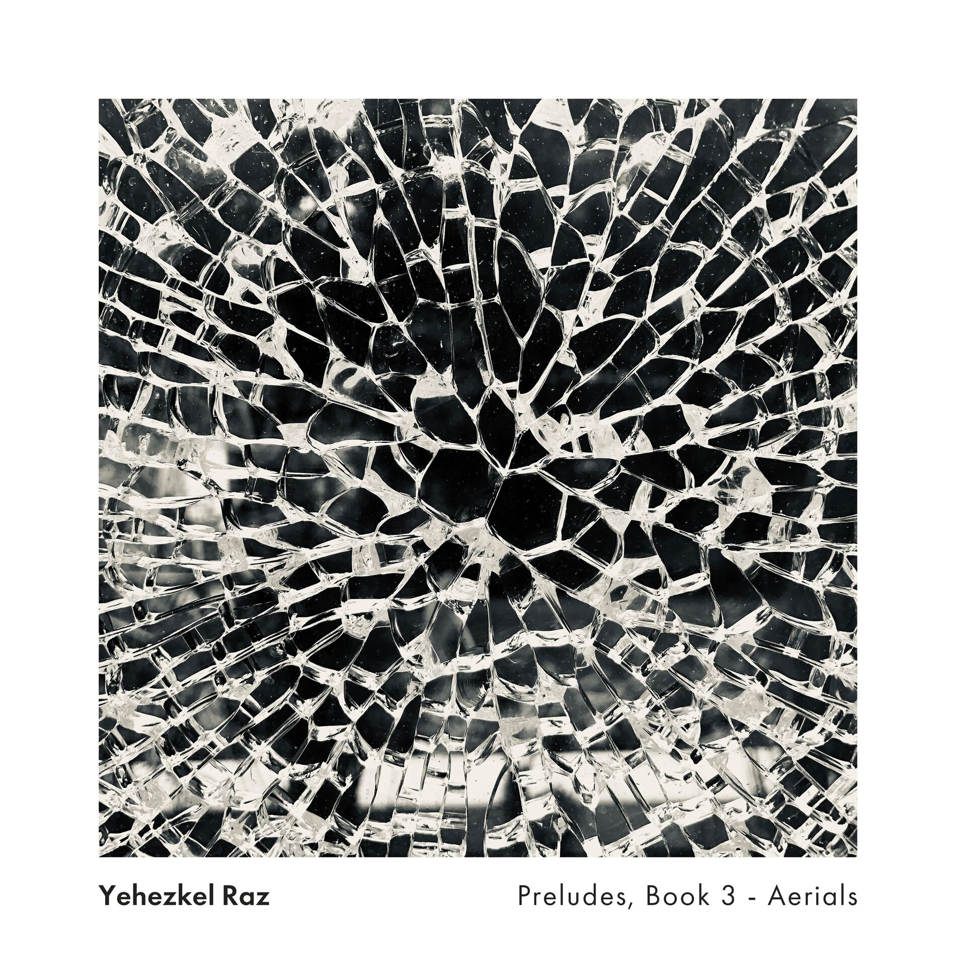 Album cover of Preludes, Book 3 - Aerials