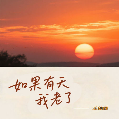 如果有天我老了 (Dj版)
