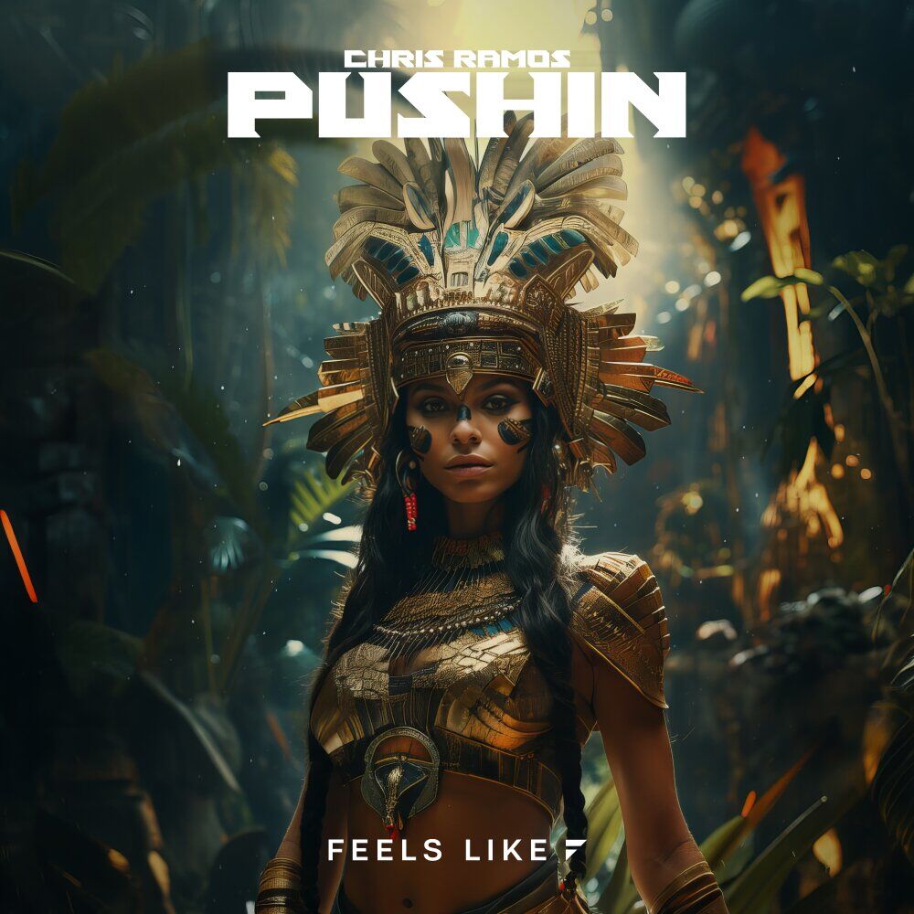 Picture of Pushin