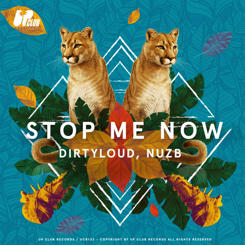 Picture of Stop Me Now