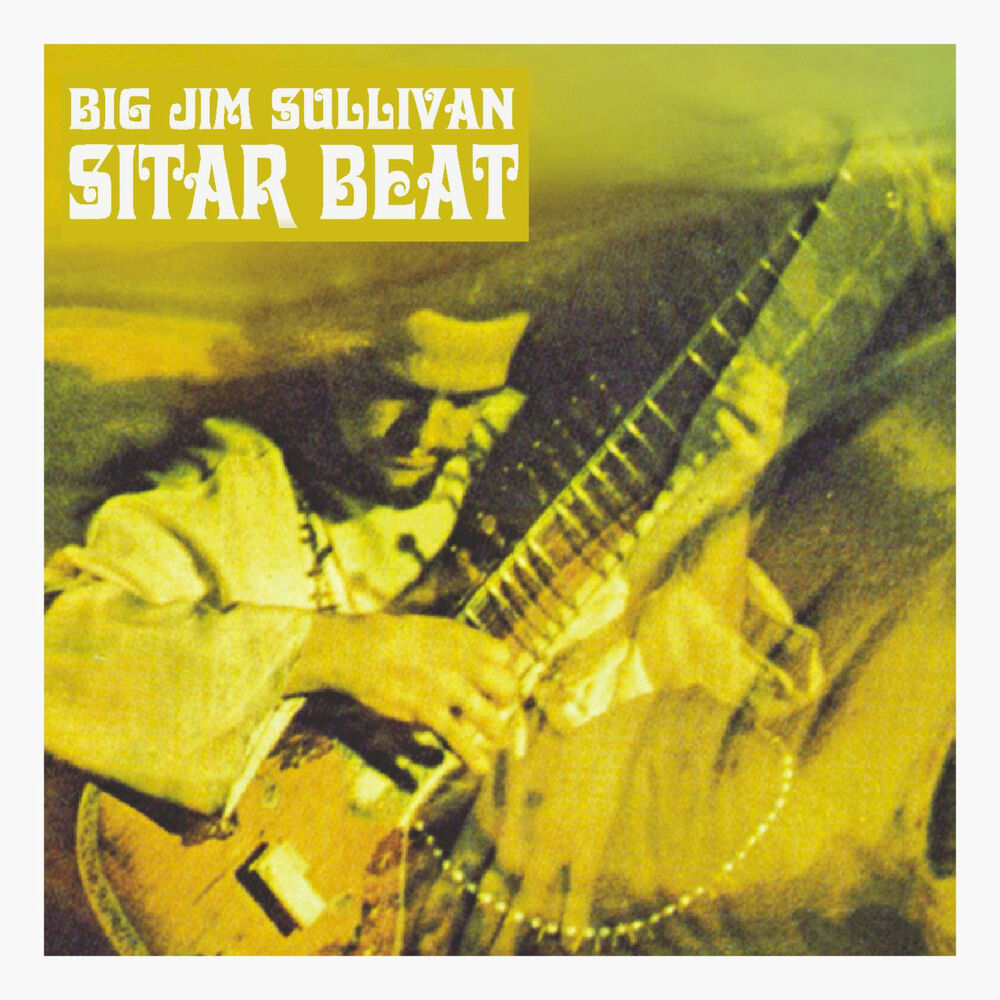 Picture of Sitar Beat