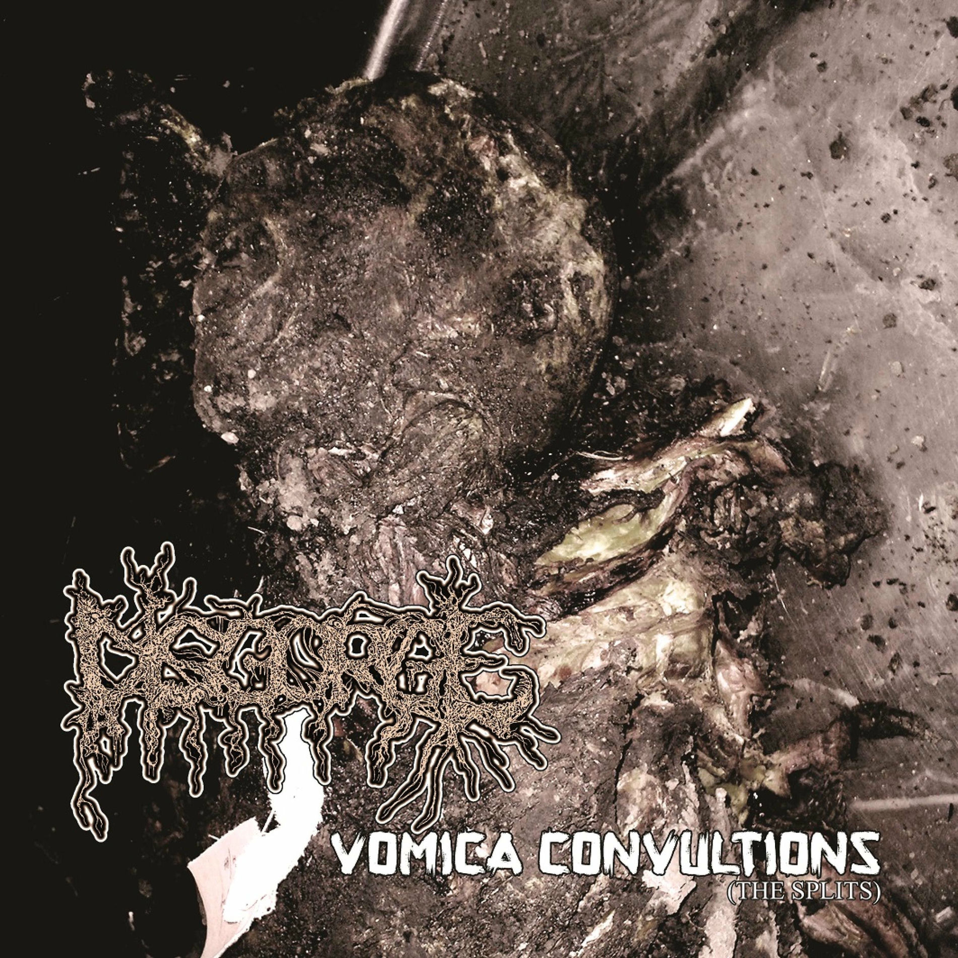 洋楽 Disgorge(mex) Disgorge Mex: albums, songs, concerts | Deezer
