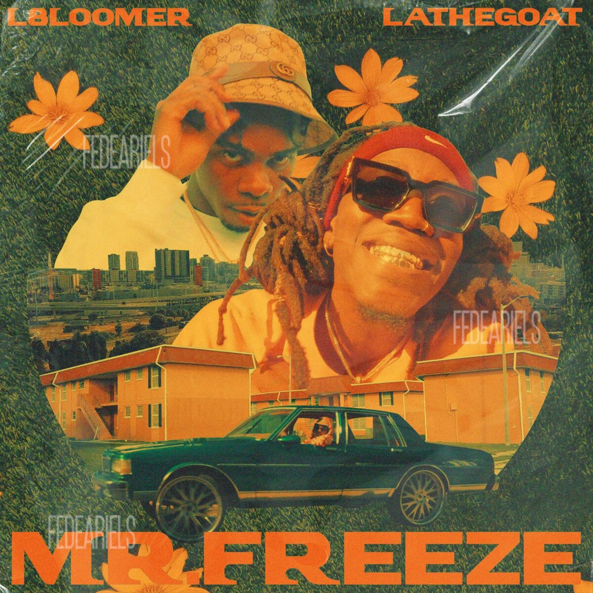 Album cover of Mr. Freeze