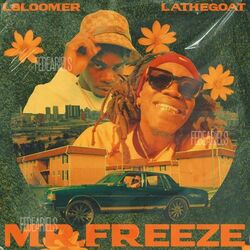 Cover of Mr. Freeze