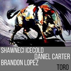 Cover of Toro