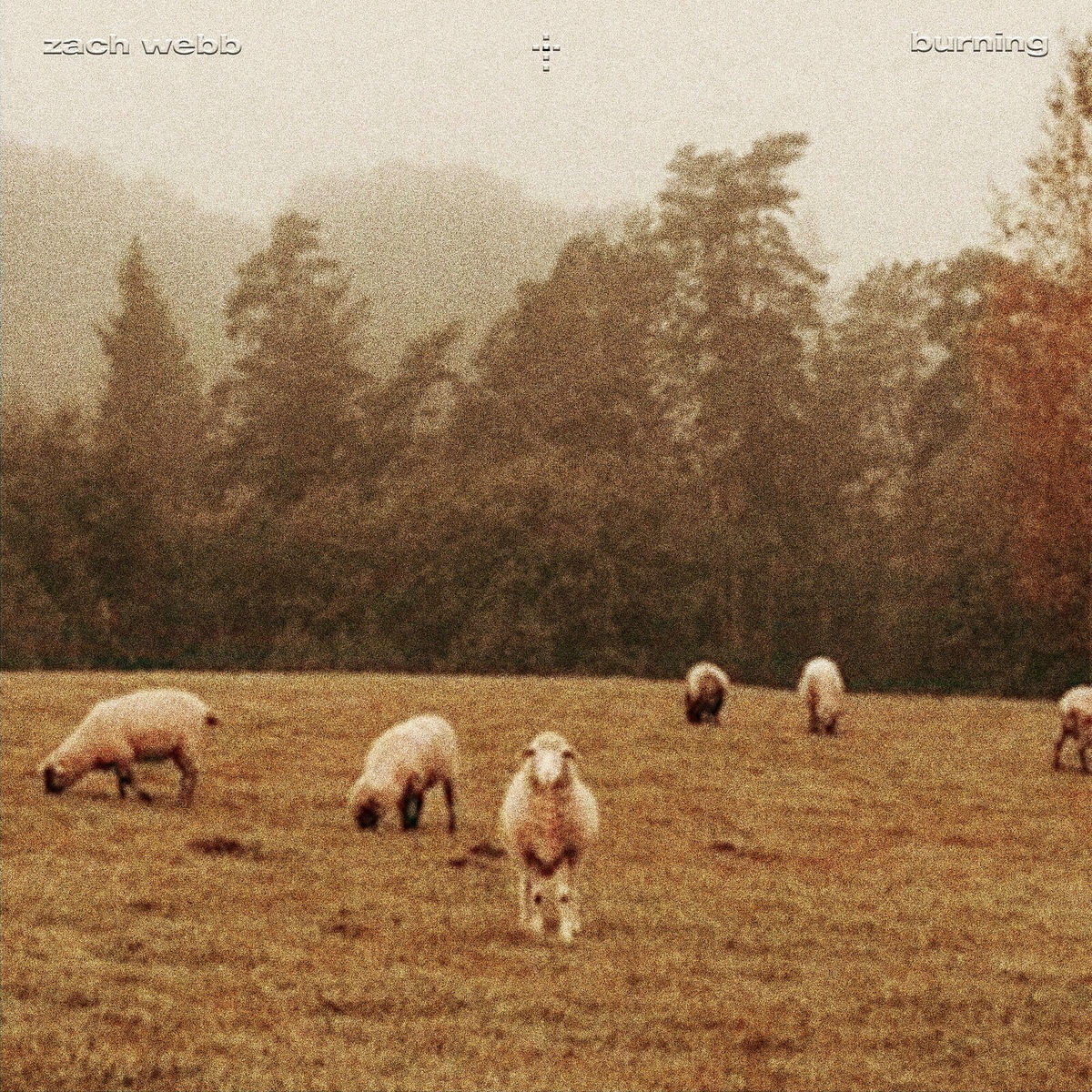 Album cover of Burning