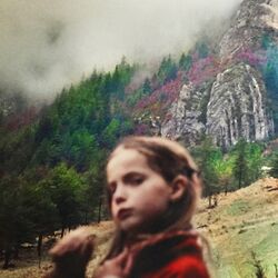 Cover of Trust the Process Honey (Remixes)