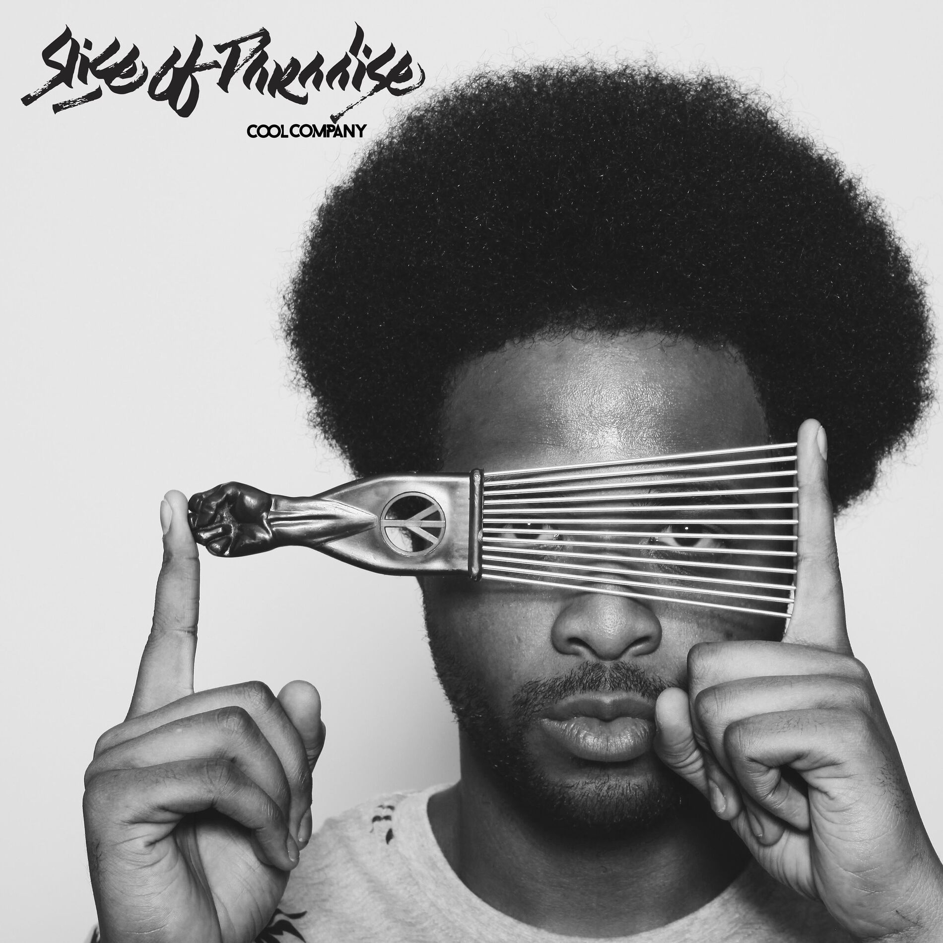 Album cover of Slice of Paradise