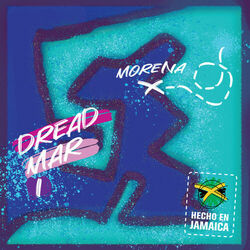 Cover of Morena
