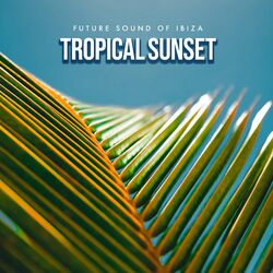 Cover of Tropical Sunset