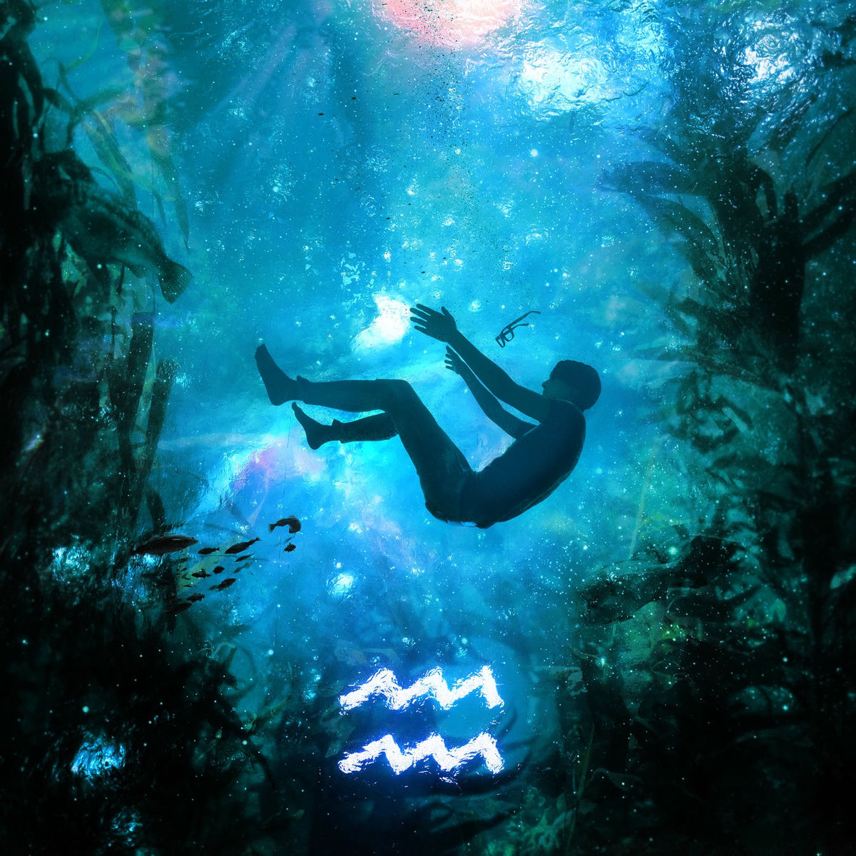 Album cover of AQUARIUM