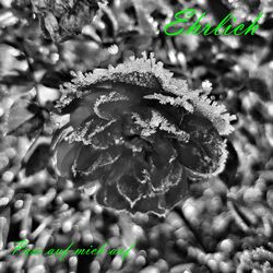 Cover of Pass auf mich auf (Single Edit)