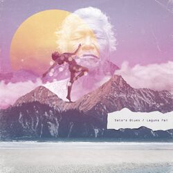 Cover of Salo's Blues