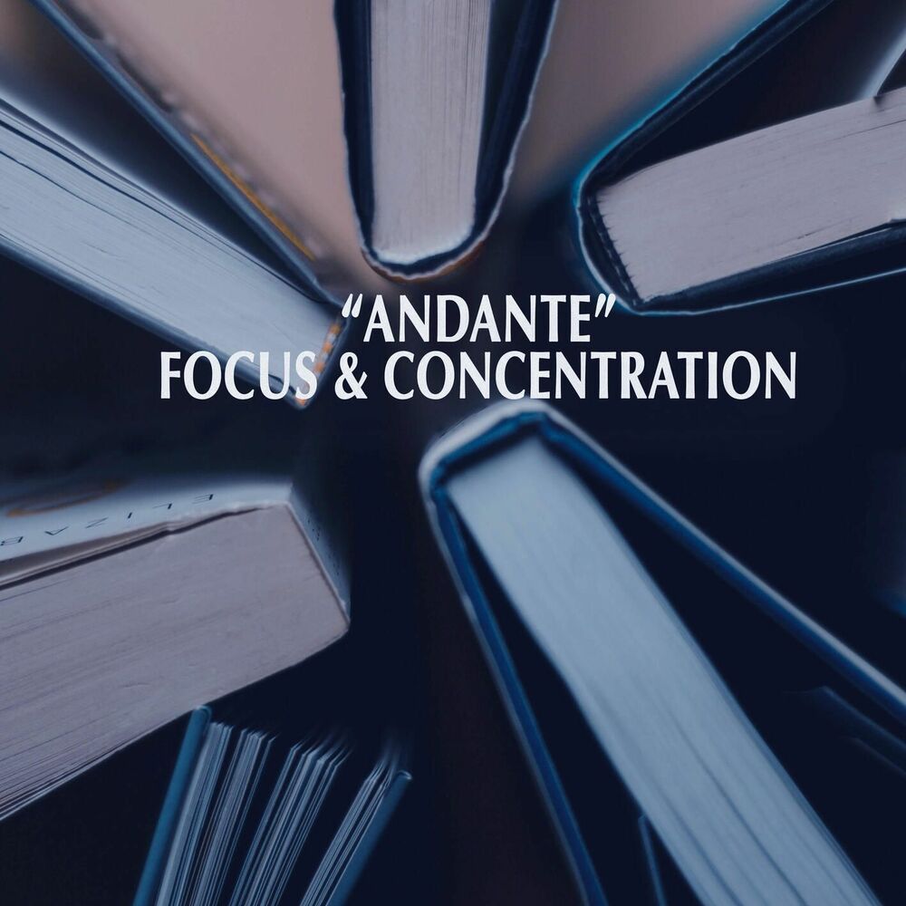 Picture of "Andante" - Focus & Concentration