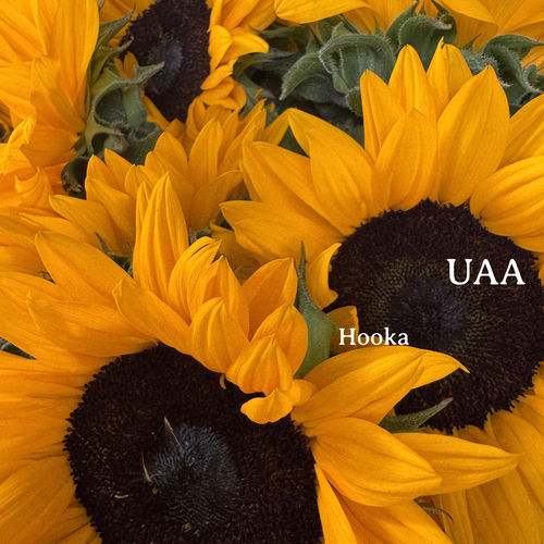 UAA