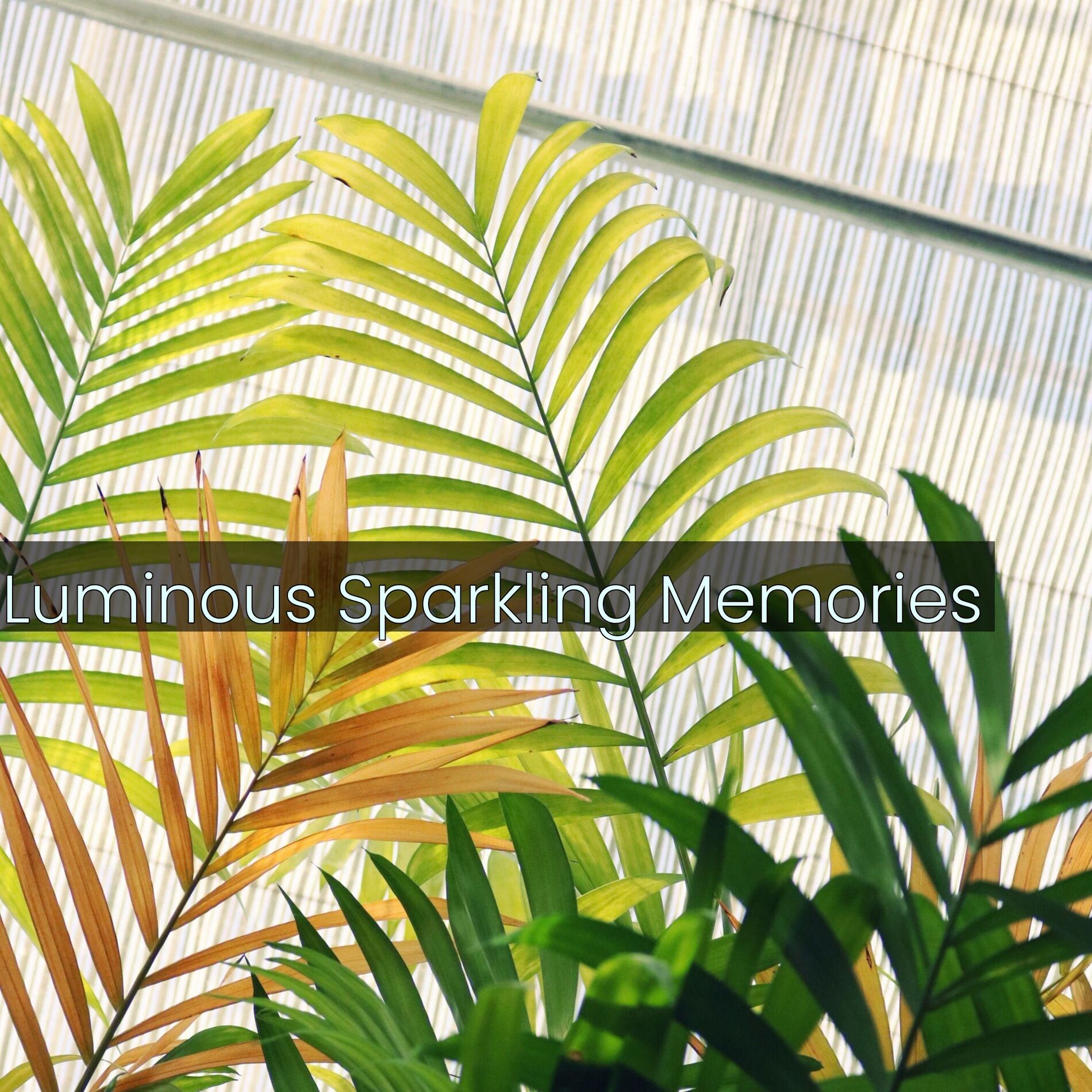 Album cover of Luminous Sparkling Memories