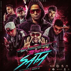 Cover of Tremenda Sata, Pt. 2 (Remix)
