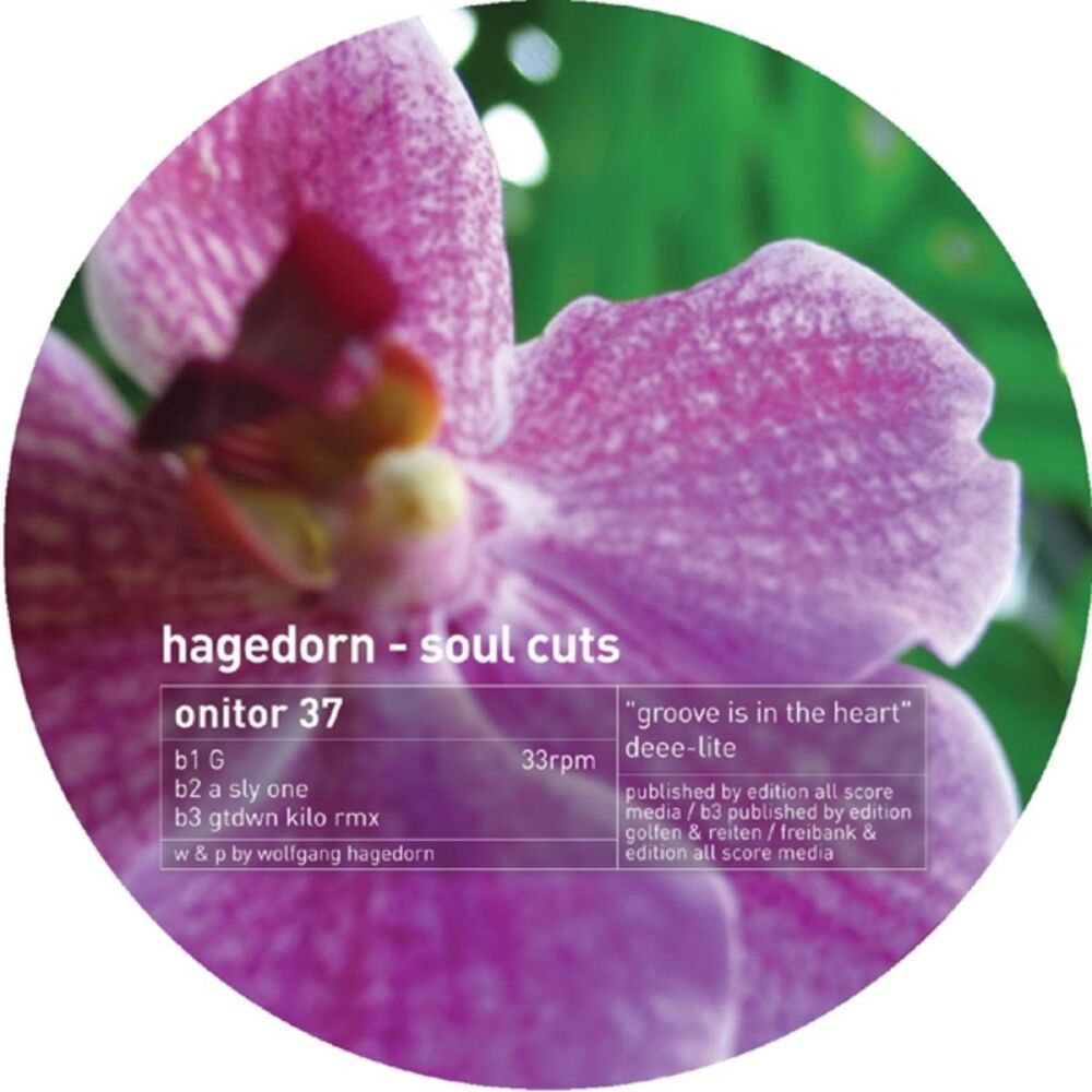 Picture of Soul cuts