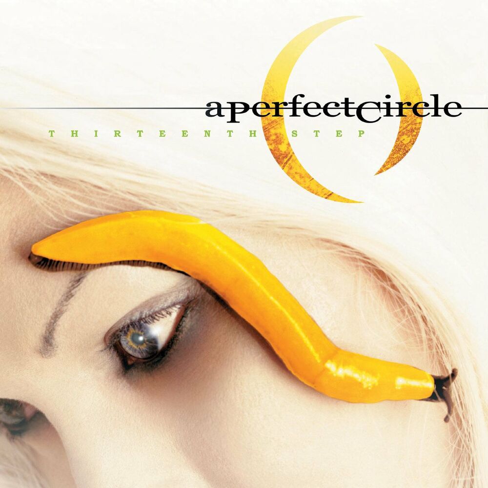 Picture of Thirteenth Step