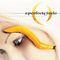 The Package by A Perfect Circle album cover