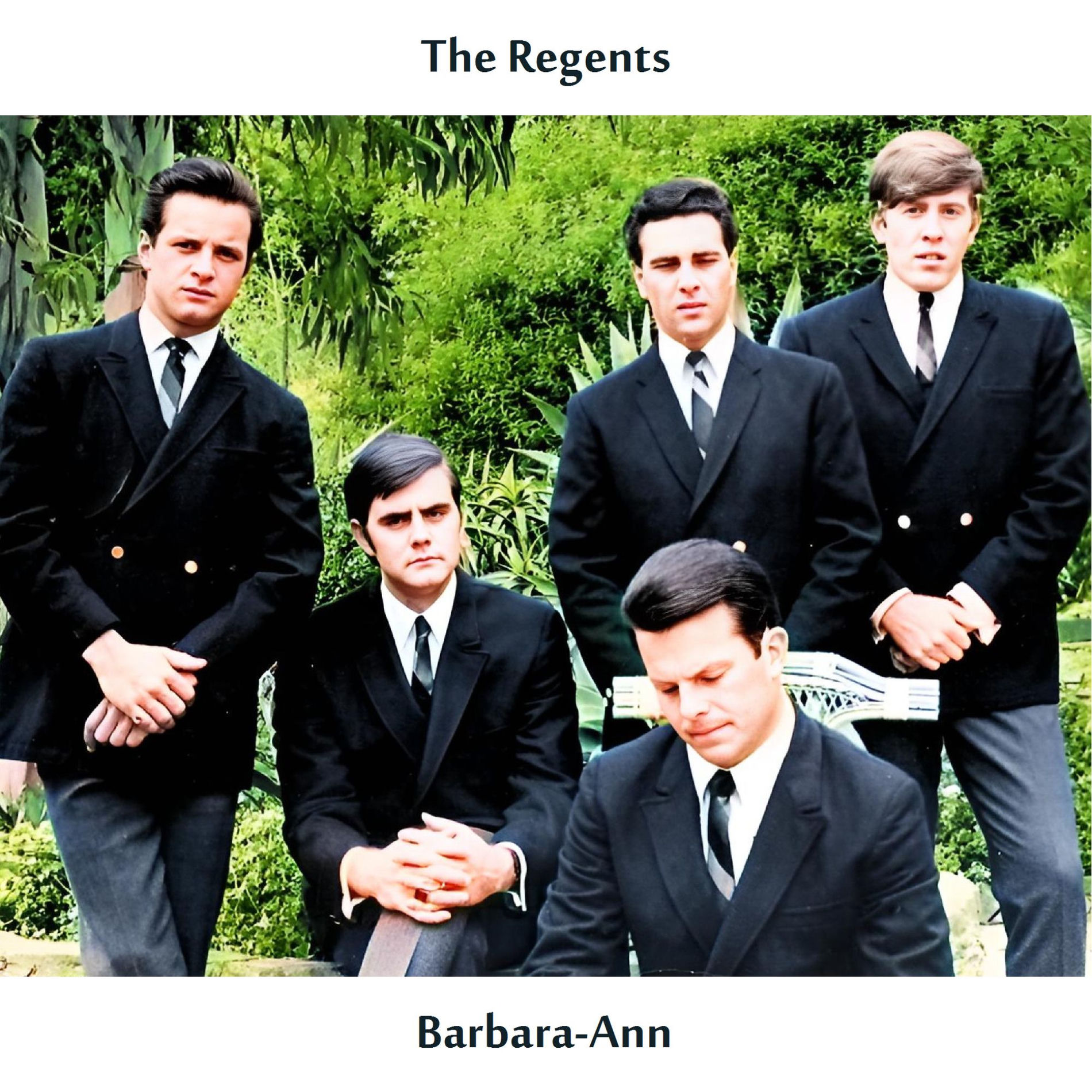 Album cover of Barbara-Ann (Remastered Edition)