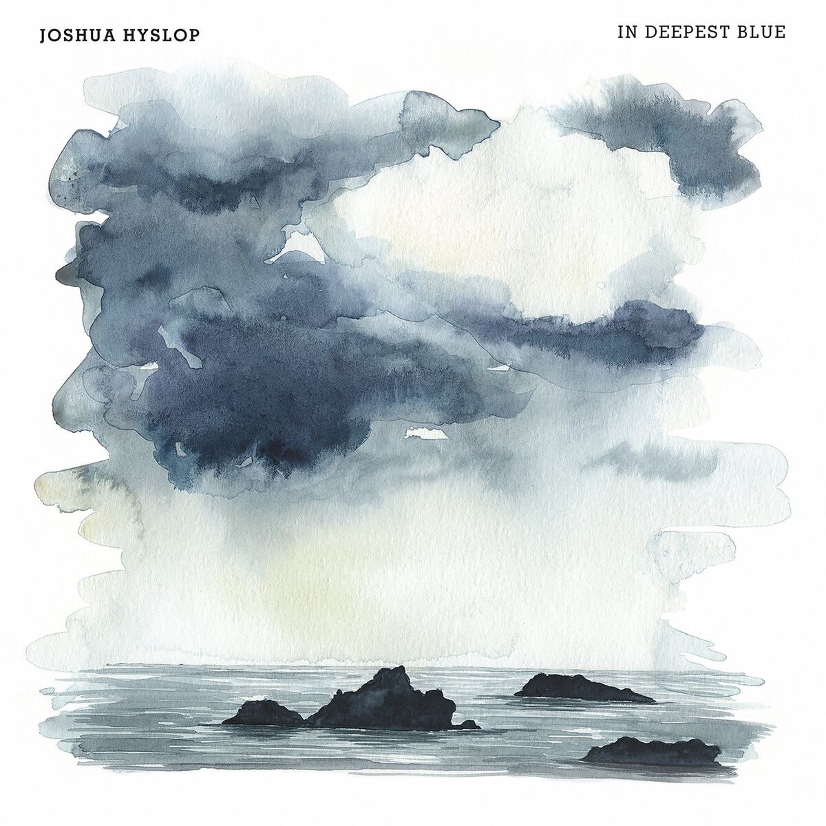 Album cover of The Flood