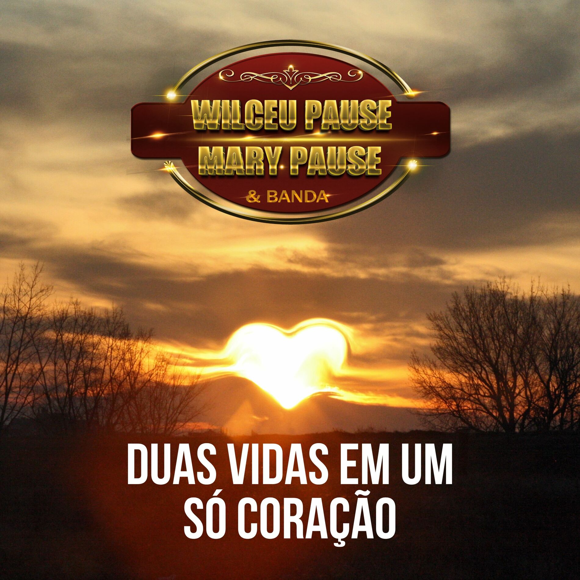 Album cover of Duas vidas em um só coração