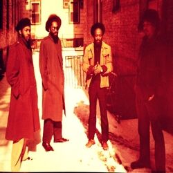Cover of Government Man