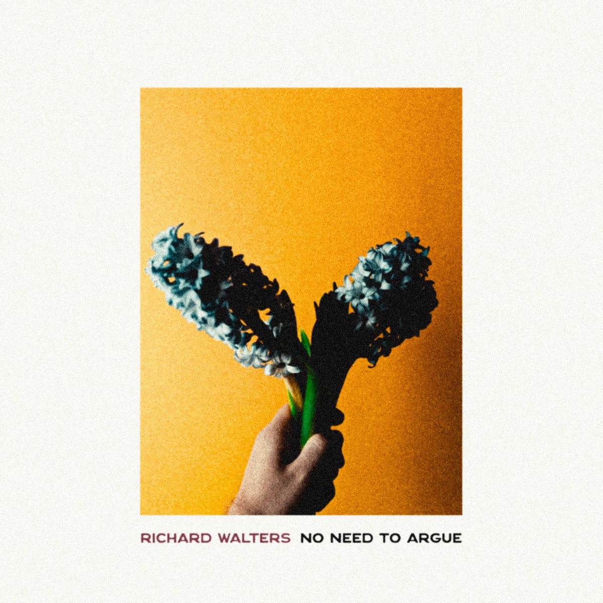 Album cover of No Need To Argue