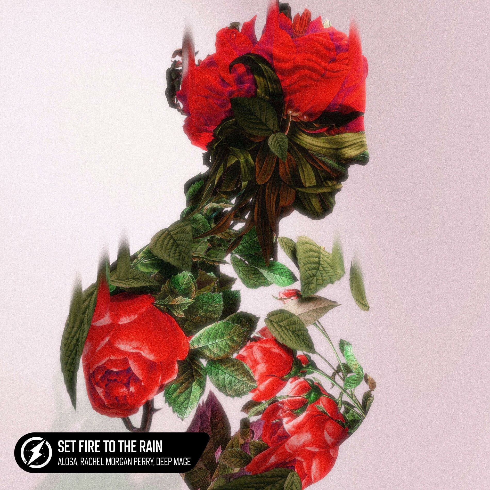 Album cover of Set Fire To The Rain
