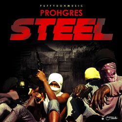 Cover of Steel