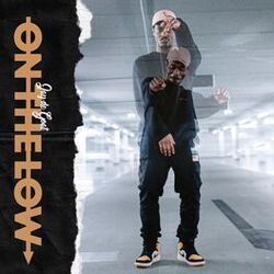 Cover of On the Low