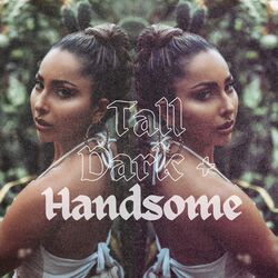 Cover of Tall, Dark and Handsome